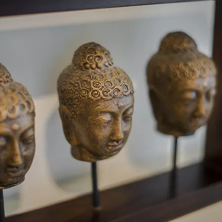 阿姆斯特丹棕榈公寓酒店 招待所